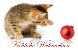 Fröhliche Weihnachten