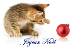 Joyeux Noël